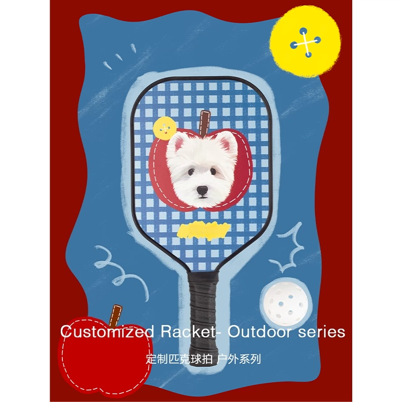 ZHAYA Pickleball Paddle T300 S - Sports Equipment Photos ulasan dan harga