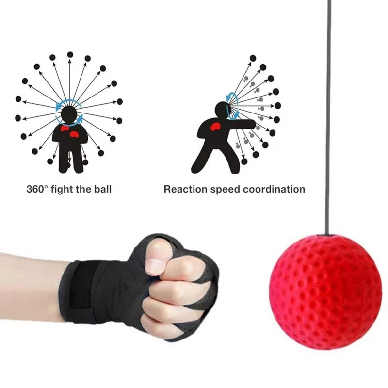 Bola Kecepatan Tinju yang Dipa - Sports Equipment Online ulasan dan harga